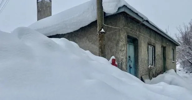 Ağrı’da evler kara gömüldü