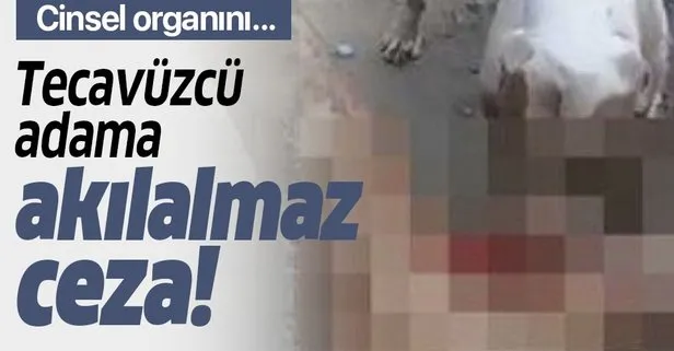 Çete üyelerinden tecavüzcü adama akılalmaz ceza! Cinsel organını parçaladılar