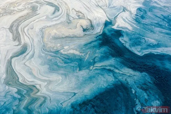 Caddebostan Sahili'nde müsilaj yoğunluğu arttı! Tabloya benzer görüntüler oluştu - 2