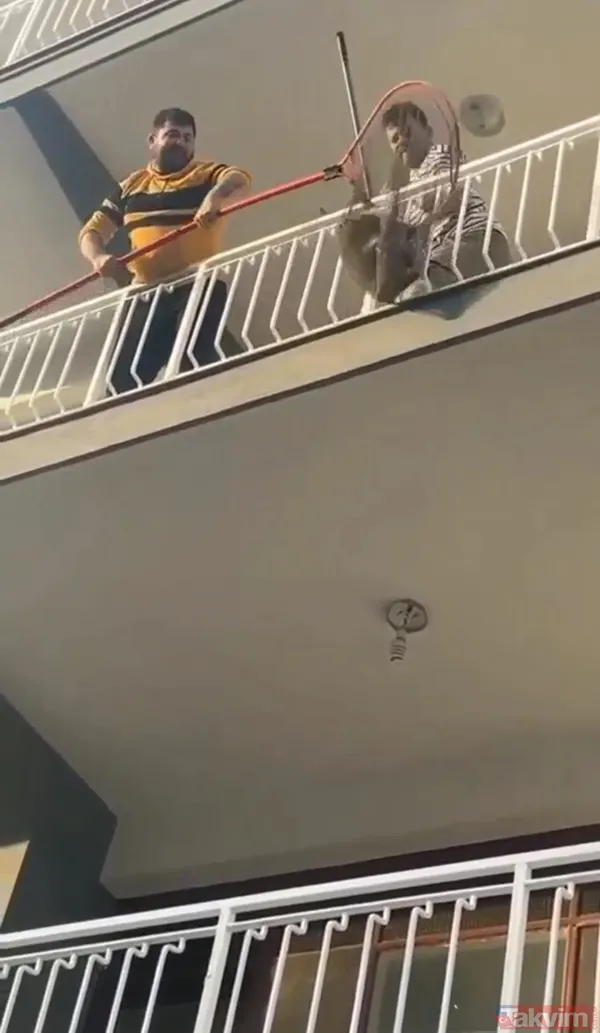 Aydın'da evden kaçan maymun apartmanı birbirine kattı - 2