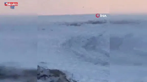 Kars’ta kurt sürüsü böyle görüntülendi