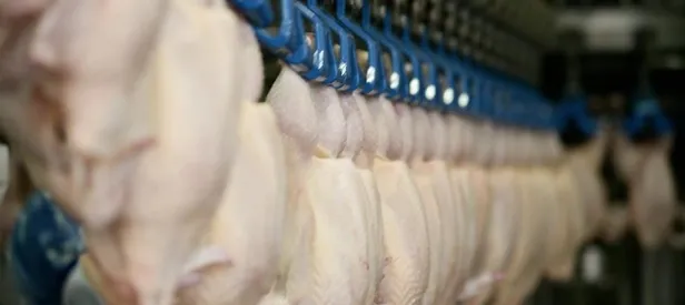 Bosna’da Türk pilici