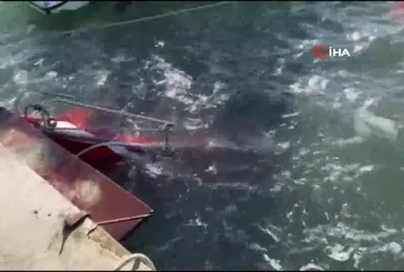 Karadeniz'de fırtına: Samsun'da 3 tekne battı