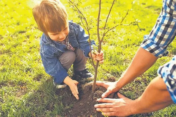 turkiye-yesillendi-turkiye-son-20-yilda-yesil-alanda-cag-atladi-1691018967137.jpeg Türkiye yemyeşil! Türkiye yeşil alanda çağ atladı-2