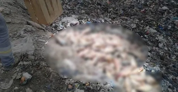 Elazığ'da ele geçirildi! Tam 900 kilo...