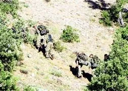 Tunceli’de şiddetli çatışma!