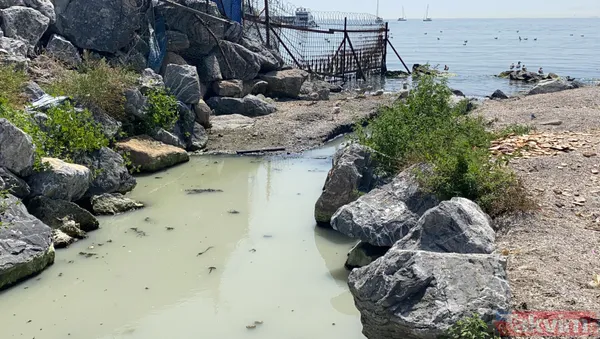 Marmara Denizi'nden müsilaj temizlenmeye çalışılırken Kalamış'taki dereden beyaz su aktı - 12