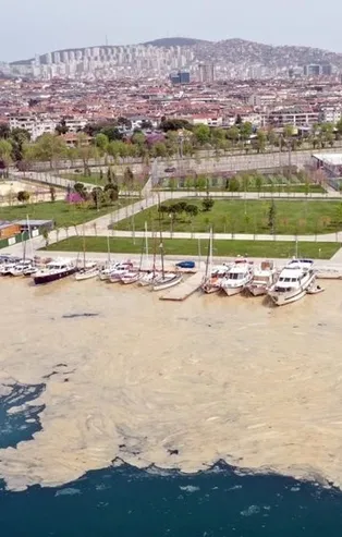 Türkiye’nin geleceği tehditte! Deniz salyaları dünya basınında!