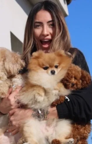 Zeynep Doğa Yaman: Pomeranian Boo cinsi en az yiyecek tüketen cinstir