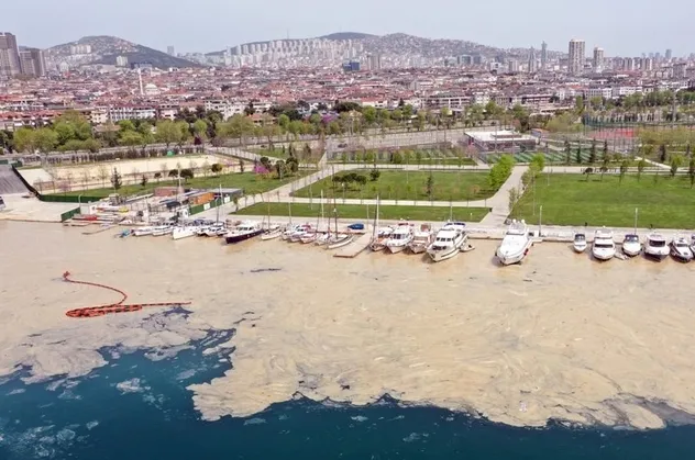 Türkiye’nin geleceği tehditte! Deniz salyaları dünya basınında!
