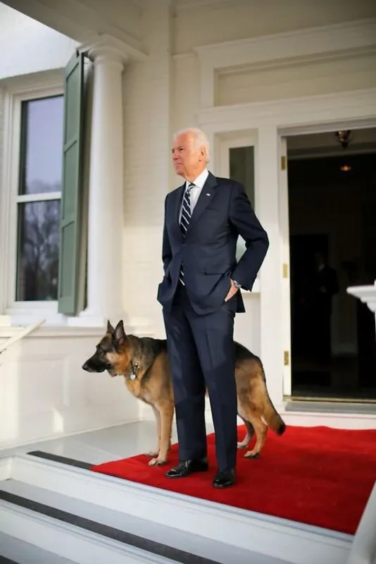 beyaz-sarayda-alman-krizi-saldirgan-davranislari-geri-adim-attirdi-1615278331919.jpg Beyaz Saray'da Alman krizi! Saldırgan davranışları geri adım attırdı-5