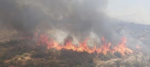 KKTC’deki orman yangınına müdahale sürüyor