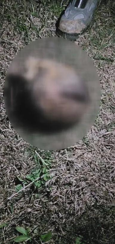 Ankara’da kan donduran olay! Kafası koparılmış 45 günlük ceset bulundu-2