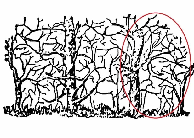 puzzledaki-zurafayi-sadece-yuksek-iqsu-olanlar-6-saniyede-buluyor-1697527751115.jpg Ağaç dallarıyla gizlenmiş zürafayı 6 saniye içinde bulabilecek misiniz?-6