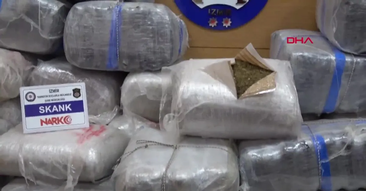 İzmir'de uyuşturucu operasyonu! 600 kilogram skunk ele geçirildi
