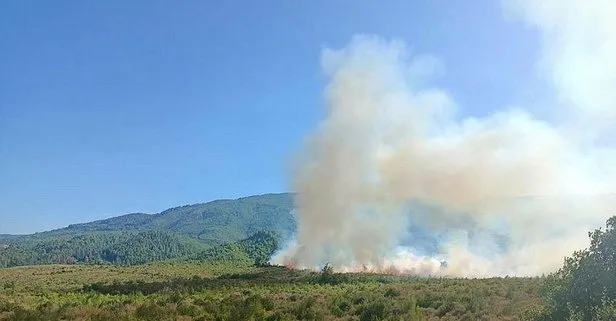 Burdur’da orman yangını! Yangın kontrol altına alındı