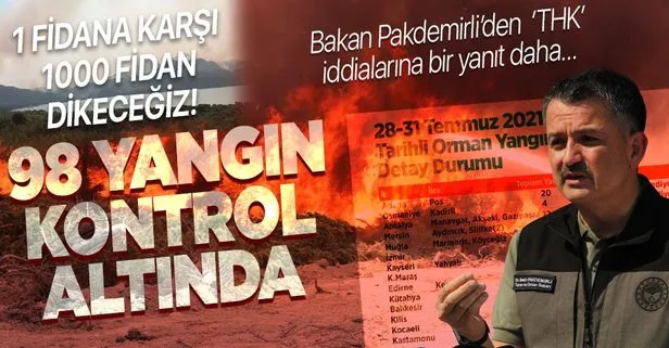 Türkiye’de peş peşe orman yangınları! Başkan Erdoğan açıkladı: 5 il Genel Hayata Etkili Afet Bölgesi ilan edildi