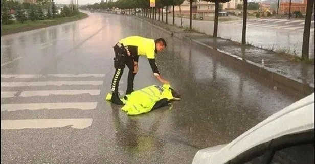merhamet ve sevgi olmazsa bu dunya ne