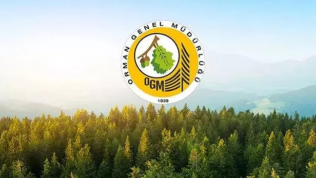 🔔Orman Genel Müdürlüğü işçi alımı son başvuru tarihi! 📢5 bin OGM işçi alımı başvuru şartları nelerdir? 👉OGM başvuru ekranı...-2