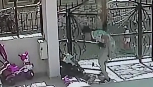 Görüntü korku filminden değil Didim'den! Kız kardeşiyle görüşmesini istemedi! Defalarca bıçaklayarak öldürdü! Korkunç cinayet kamerada