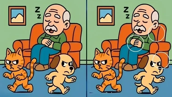 zeka-testi-resimdeki-3-fark-nerede-sadece-en-zekiler-10-saniyede-sip-diye-buluyor-1755006797052.jpeg (Takvim Foto Arşiv)