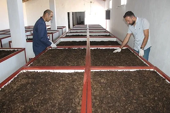 Solucan Gubresi Uretim Tesisi Kurulum Maliyeti Nedir Solucan Gubresi Uretimi Nasil Yapilir Takvim