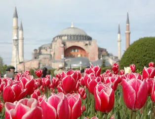 İstanbul Lale Festivaline hazırlanıyor!