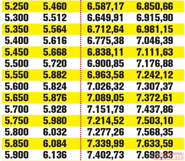 Asgari ücret, emekli maaşı, memur ve daha fazlası! Kim, kaç lira alacak? İşte kalem kalem yeni maaşlar - 25