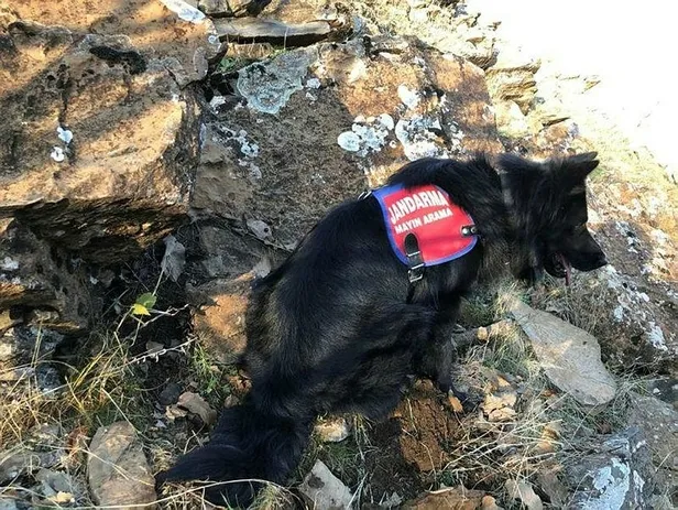 Çukurca'da PKK'ya ait EYP düzeneği ve mühimmat ele geçirildi-1