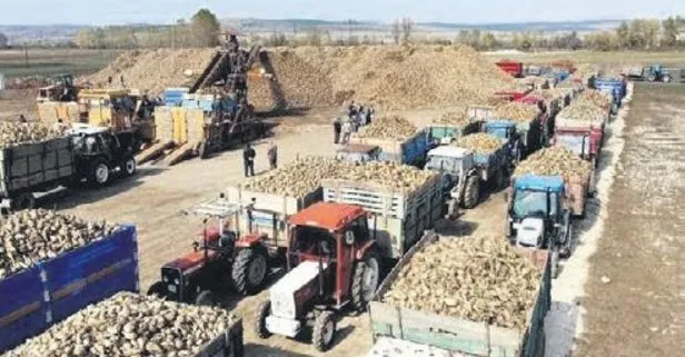 Şeker depoları ağzına kadar dolu