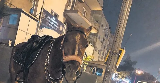 Mersinli Red Kit’e alkollü at kullanma cezası!
