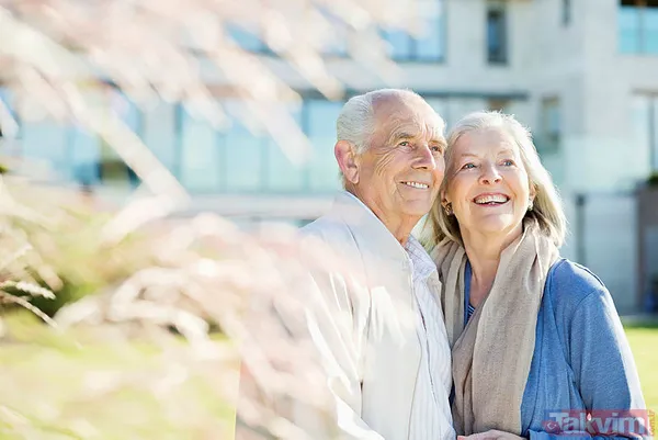 Yasa Çıktıktan Sonra Uygulanması İçin De Yönetmeliklerin Çıkarılması Gerekiyor.