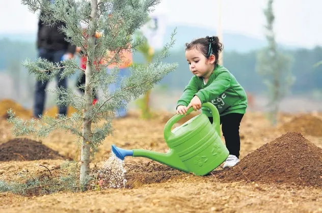 Rekor ağaca rekor davet: 252 milyon fidan toprakla buluşacak