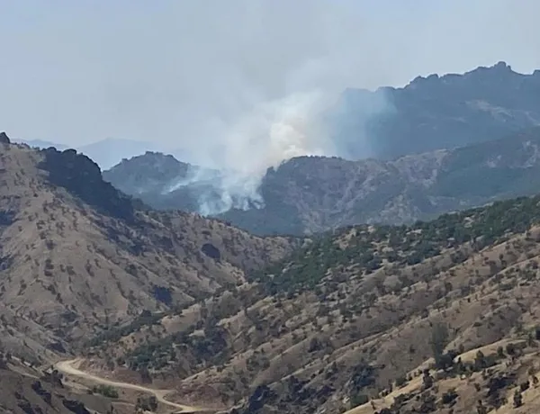 bolu-antalya-bingol-ve-eskisehirde-yangin-dort-ilde-alevlere-havadan-ve-karadan-mudahale-suruyor-1692120050426.jpeg Çok sayıda ilde yangın! Alevlere havadan ve karadan müdahale sürüyor-6