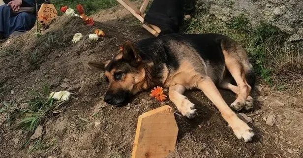 4 gündür bir an olsun ayrılmıyor
