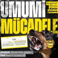 Başıboş sokak köpeği sorununa tarihsel bakış! Atatürk dönemindeki Resmi Gazete’de ’umumi mücade’ vurgusu: ’İtlaf’lı çözümün belgesi