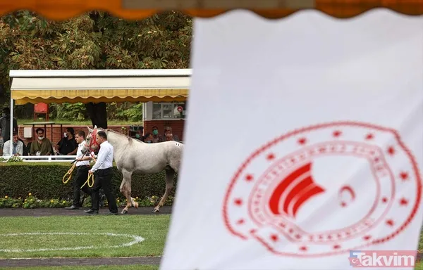 14 at toplamda 4 milyon 640 bin liraya satıldı - 19