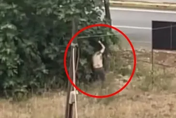 Saniye saniye palalı cinayet: Amcasını ağaçların arasında katletti