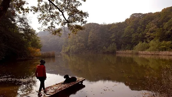 bunlari-biliyor-musunuz-istanbulun-ilk-kez-okuyacaginiz-ozellikler-tasi-topragi-komur-1632205677900.jpg Bunları biliyor musunuz? İstanbul'un ilk kez okuyacağınız özellikleri: Taşı toprağı kömür-3