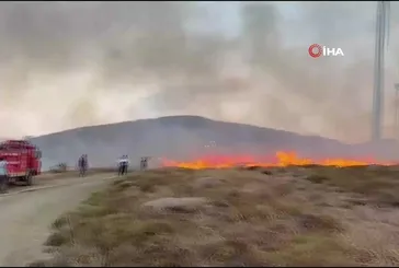 Paşalimanı Adası'nda yangın