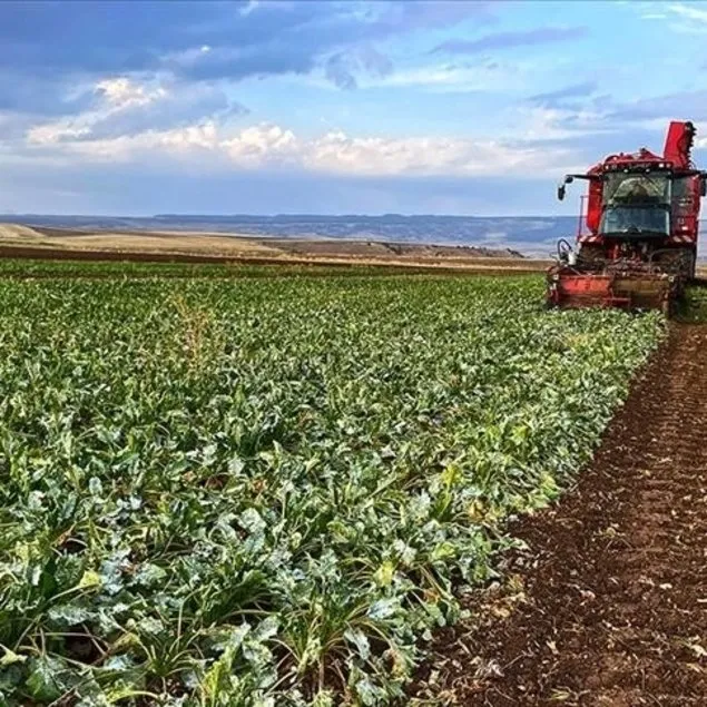 Zirveye yolculuk