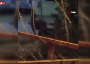 Arnavutköy’de ata şiddet kamerada!