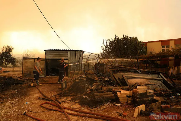 CHP ve yandaşı medyanın yangınlar üzerinden kirli algı oyunu çöktü: 'Otel yapacaklar' dedikleri alanlar tek tek yeşillendirildi - 3