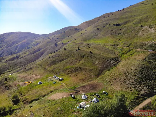 Tunceli'de sürü sahipleri 2 bin 500 metre rakımlı yaylada aşılandı - 9