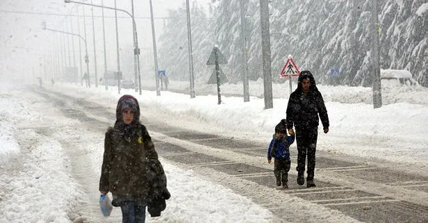 18 Aralık Iğdır’da kar tatili var mı? Van, Bingöl, Bitlis, Ardahan’da okullar tatil mi? MEB - Valilik son dakika açıklamalar...