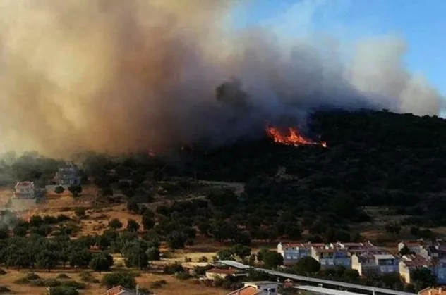 Son dakika... İzmir Dikili'de orman yangını