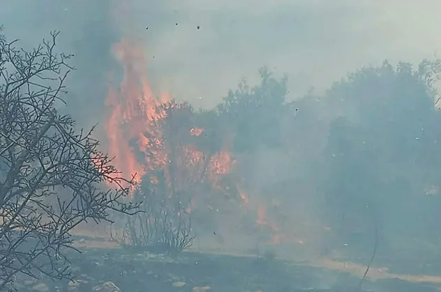 Muğla'da korkutan orman yangını