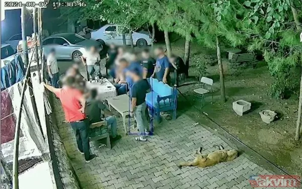 Narin Güran davasında ikinci duruşma! Kilidi çözecek görüntüler mahkemeye sunuldu... Kimler dinlenecek? - 12