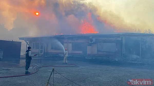 İzmir ve diğer illerde alevler kontrol altına alındı! Menderes'i yakan 'hobi' Çeşme'de izmarit izi: Bakan 'haftaya dikkat' diyerek uyardı - 46