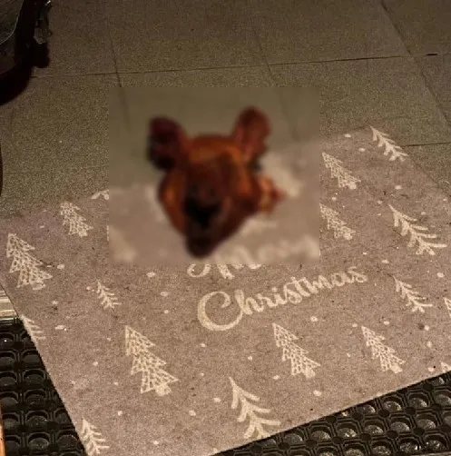 Avusturya'da ırkçı saldırı: Türk ailenin kapısına domuz Kafası bıraktılar-2